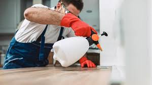 Best Pest Exclusion Services  in Struthers, OH